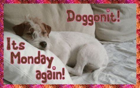 Monday Again Monday Again Monday Images Monday Humor