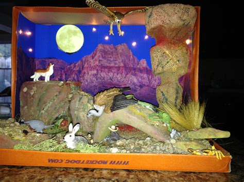Shoebox Desert Diorama Made For 3rd Grade Project Ecosystems Diorama