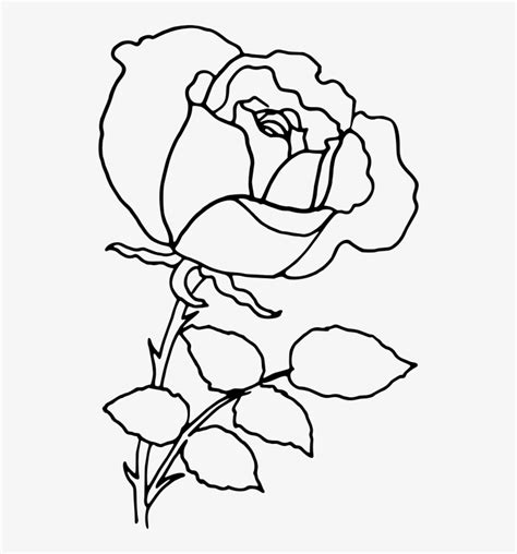 Red and green rose created from lines. オリジナル Line Art Png Free - 三洋ガメッツ