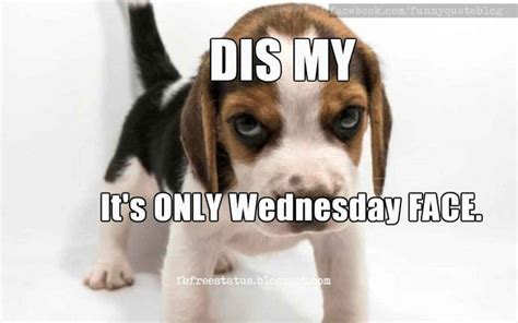 This Is My Its Only Wednesday Face Funny Wednesday Meme