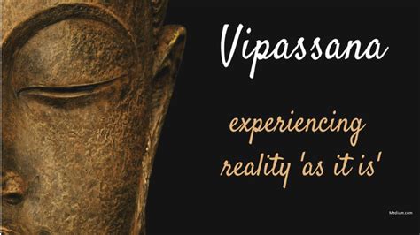 Vipassana Meditation: Part 3 - YouTube