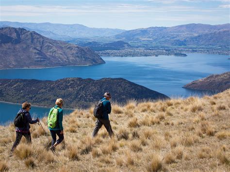 Ridgeline Wanaka All You Need To Know Before You Go