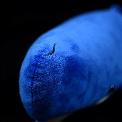 Sperm Whale Simulation Stuffed Toys Soft Sea Animals Cachalot Etsy