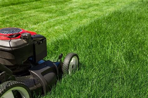 Wondering whether to hire lawn care professionals vs diy lawn care? 10 DIY Lawn Care and Maintenance Tips for Moms - A DIY ...