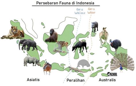 Detail Gambar Persebaran Fauna Di Indonesia Koleksi Nomer 34