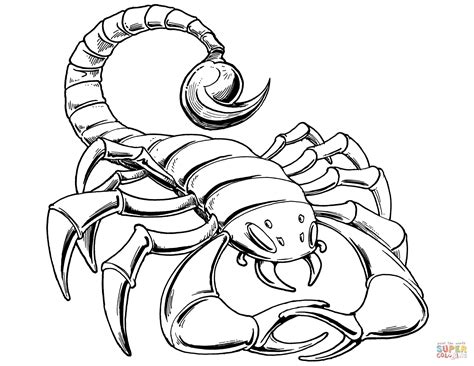 Scorpion Coloring Pages Kidsuki