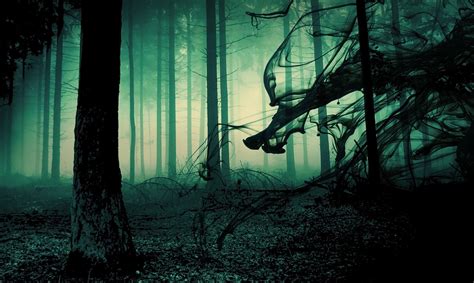 16480 Creepy Forest 1920x1080 Nature Wallpaper Paranormal Globe