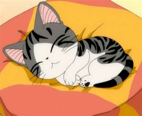 World Of Chi Cat Drawing Anime Cat Chis Sweet Home