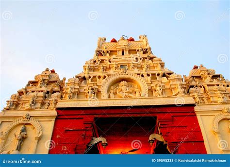 Temple Tower Tamilnadu India Stock Image Image Of Loaves Branches
