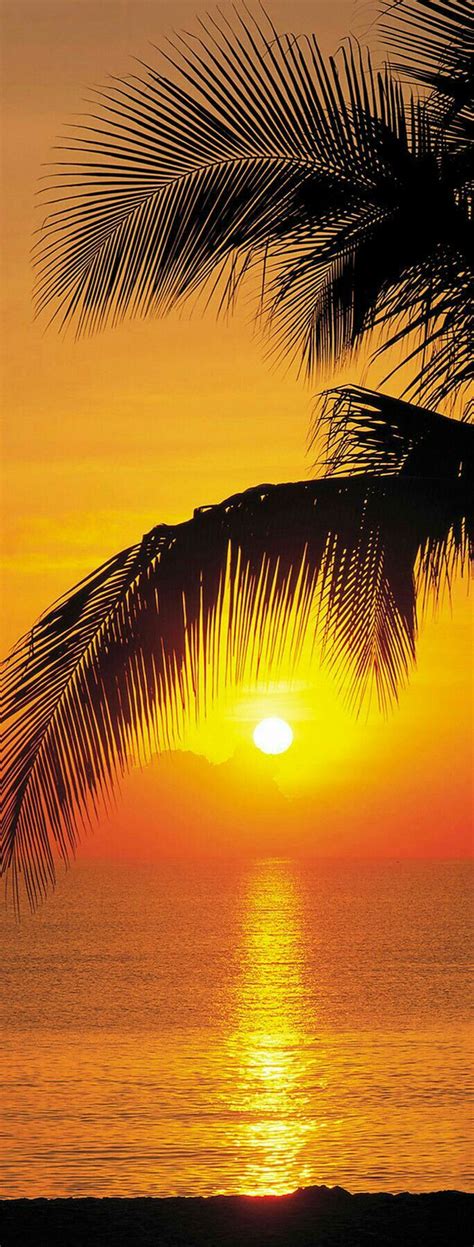Pin By Jodeeb On Beautiful Skies Sunrise Beach Sunset