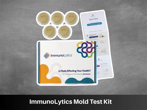 6 Best Mold Test Kits For At Home Testing