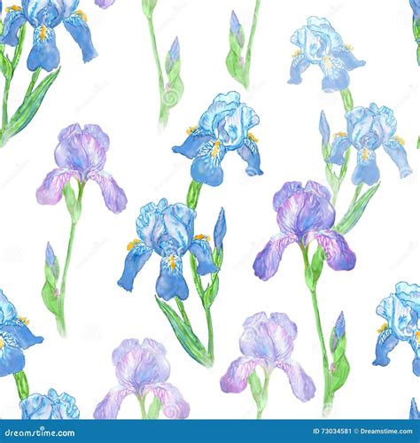 Watercolor Iris Flower Seamless Pattern On White Backgr Stock