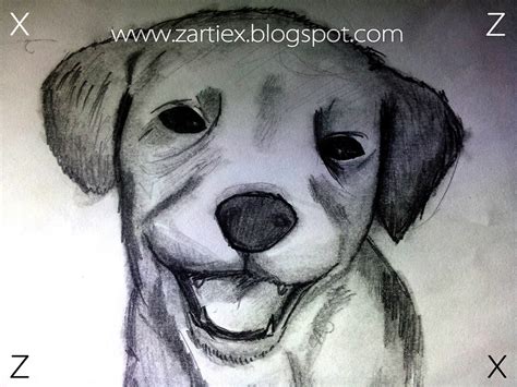 Dibujos De Animales A Lapiz Dibujos De Perros 111444ee