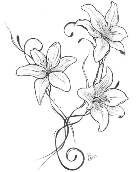 Lillies Lily Tattoo Design Flower Drawing Lily Tattoo