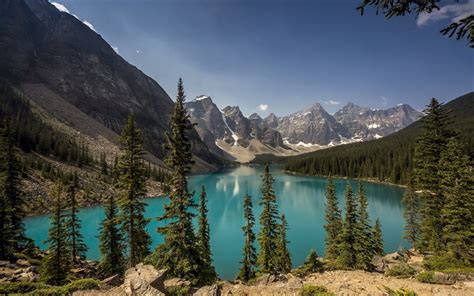 Download Wallpapers Moraine Lake Mountain Lake Summer Forest