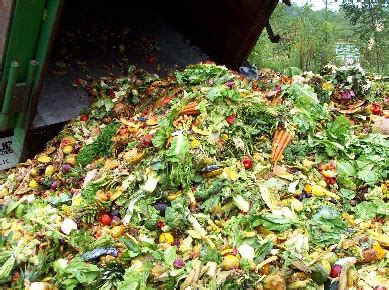 231mppkep71997 pasal i tentang prosedur impor limbah menyatakan bahawa limbah adalah bahanbarang sisa atau bekas dari suatu kegiatan atau proses produksi yang fungsinya sudah berubah dari aslinya kecuali yang dapat dimakan oleh manusia dan hewan. Pengertian Limbah Organik