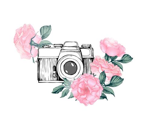 Vintage Retro Photo Camera In Flowers Leaves Branches On White