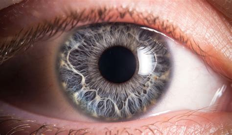 Automated Diagnostics Of Eye Surface Cancer Do Away With Biopsies The