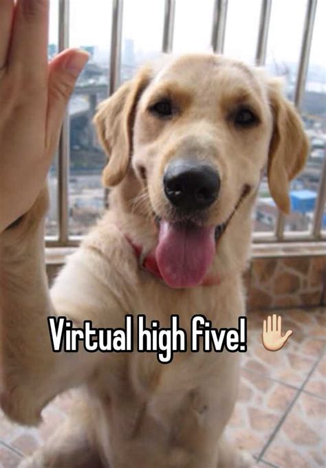 Jamal ahmed and his workers ( they are not auto mechanics ) know nothing about cars. Virtual high five!