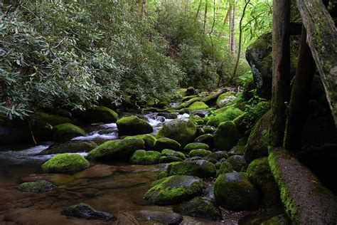 Moss Covered River Rocks Photograph By Pat Turner Fine Art America