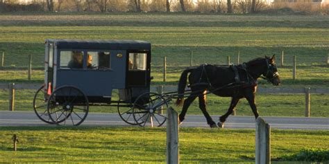 15 Dark Secrets You Never Knew About Amish Mafia