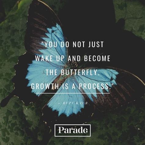 Dont Just Fly Darling Shoot 100 Butterfly Quotes To Inspire Your Transformation 2023