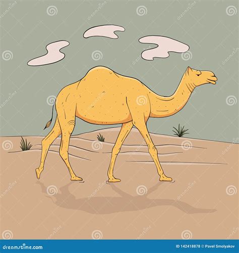 Dromedary One Humped Camel In Full Growth Goes In Desert Sketch