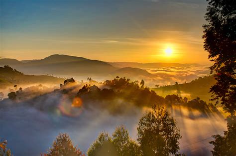 Uganda Sunrise With Trees Hills Shadows And Morning Fog Stock Photo