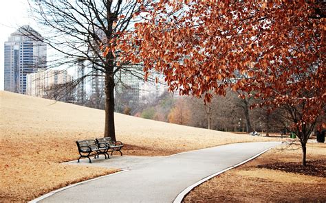 1920x1200 city night park benches wallpaper coolwallpapers me