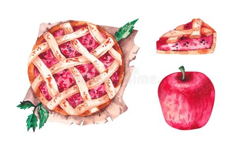 Watercolor Apple Pie A Piece Of Pie And An Apple Stock Image Image Of