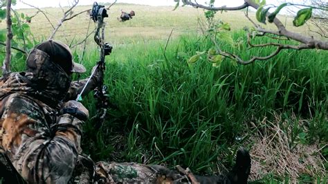Turkey Bow Hunting Shot Placement Tip Midwayusa