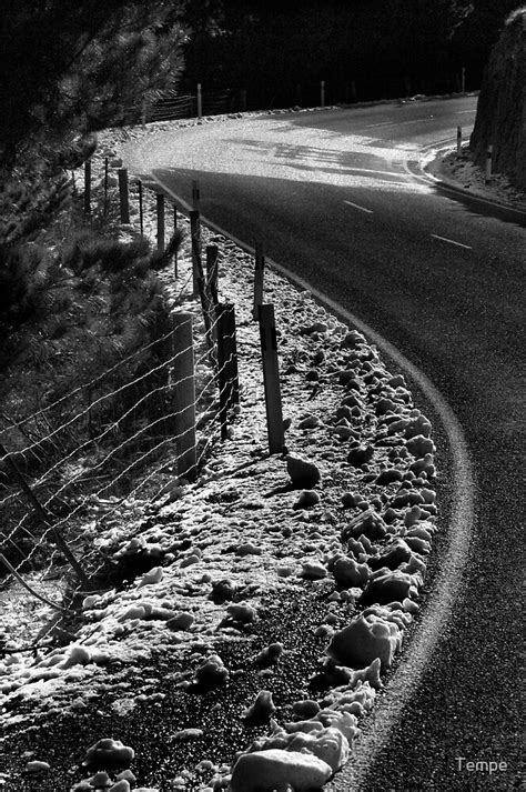 The Long And Winding Road By Tempe Redbubble