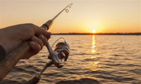 Best Fishing Lures To Catch Crappie The Best Fishing Line