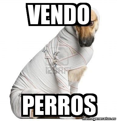 Meme Personalizado Vendo Perros