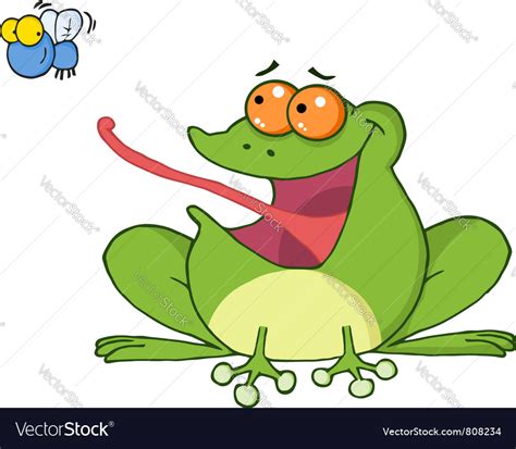 Frog Catching A Fly Royalty Free Vector Image Vectorstock