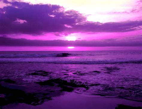 Purpleseabmp 1600×1230 Lila Sonnenuntergang