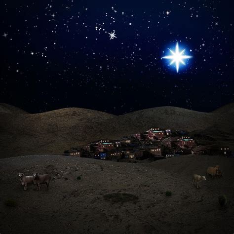 Christmas Bethlehem Night Scene Photography Backdrop