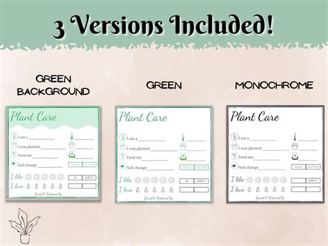 Plant Care Instructions Card Printable Plant Tags Digital Care Card