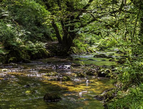 River Taw At Sticklepath Dartmoor Devon Colin Anthony Photography