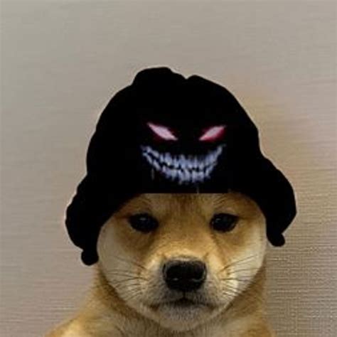 Pin By Marta Trojan On Pieski Dog Images Dog Memes Animal Jokes