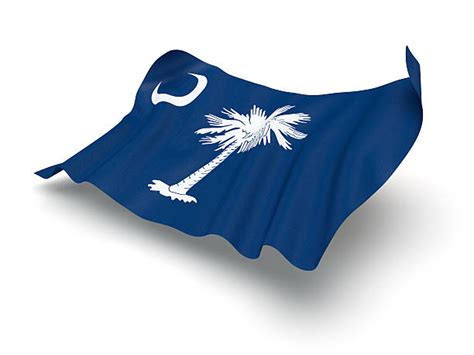 Staatsflagge Von South Carolina Fotos Bilder Und Stockfotos Istock