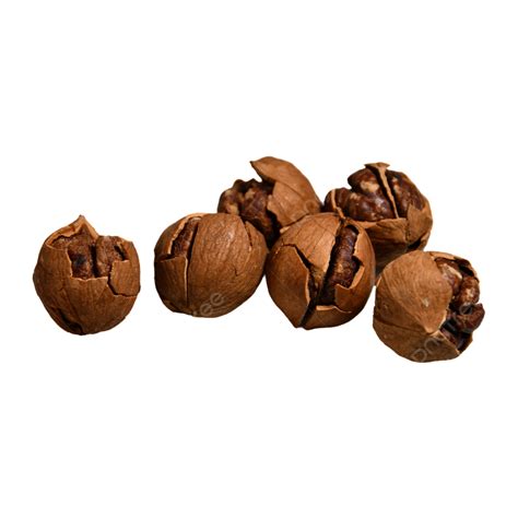A Pile Of Pecan Nuts Showing The Flesh Brown Nutrition Dry Fruits