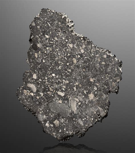 Lunar Meteorite Complete Slice Of The Nwa 8306 Lunar Breccia — Among