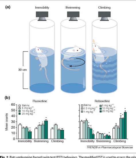 Pdf Assessing Antidepressant Activity In Rodents Recent Developments And Future Needs