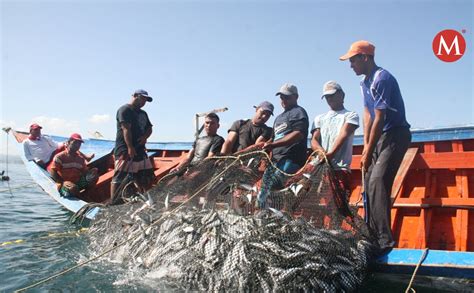Entregan Tarjetas De Control A Pescadores Del Norte De Veracruz Grupo