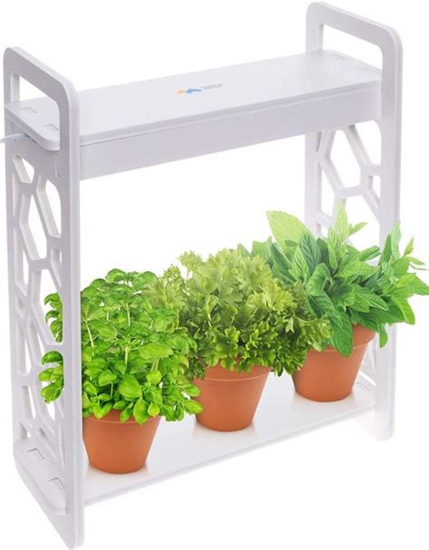 Top 10 Best Indoor Herb Garden Kits In 2023 Spacemazing