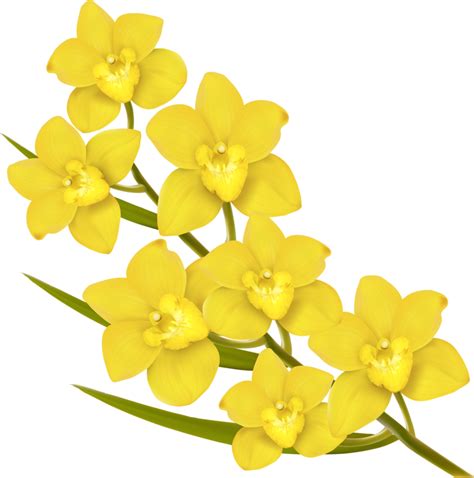 Flower Euclidean Vector Royalty Free Yellow Six Yellow Flowers Png