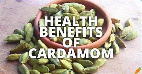 21 Potential Health Benefits Of Cardamom