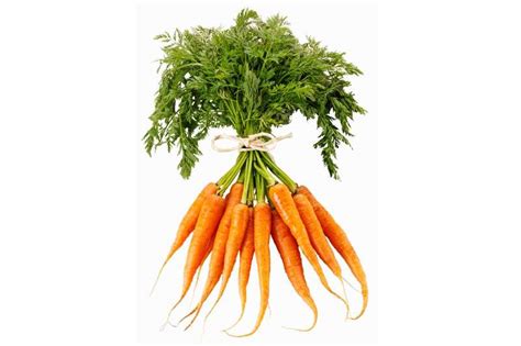 Das gilt genauso für vitamin e. Vitamin A: Vitamine für die Augen - FIT FOR FUN