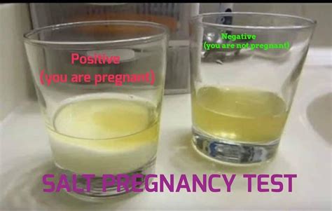 1 Week Negative Salt Pregnancy Test Positive Pictures Anastasia Bogo